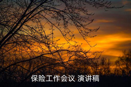 保險(xiǎn)工作會(huì)議 演講稿