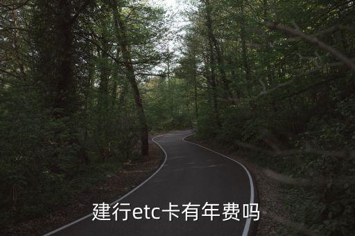 建行etc卡有年費(fèi)嗎