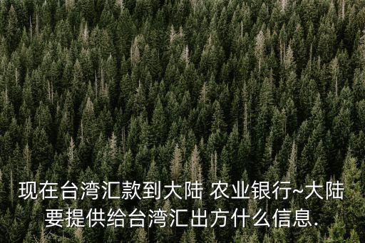 現(xiàn)在臺灣匯款到大陸 農(nóng)業(yè)銀行~大陸要提供給臺灣匯出方什么信息.