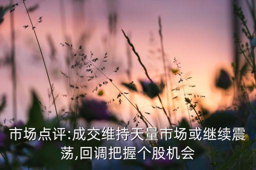 市場(chǎng)點(diǎn)評(píng):成交維持天量市場(chǎng)或繼續(xù)震蕩,回調(diào)把握個(gè)股機(jī)會(huì)