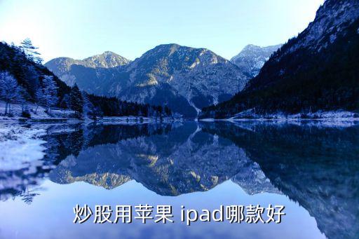 炒股用蘋果 ipad哪款好