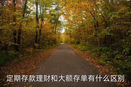 定期存款理財和大額存單有什么區(qū)別