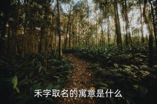 禾字取名的寓意是什么