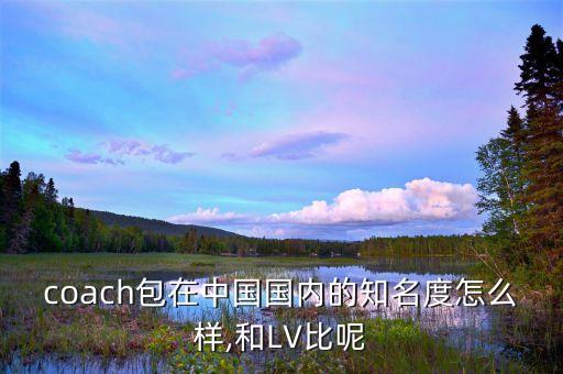 coach包在中國(guó)國(guó)內(nèi)的知名度怎么樣,和LV比呢