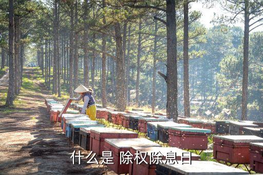 中國高科股票除權(quán)日,股票除權(quán)日一般會(huì)漲還是會(huì)跌