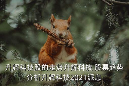 升輝科技股的走勢(shì)升輝科技 股票趨勢(shì)分析升輝科技2021派息