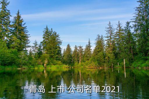 青島 上市 公司名單2021