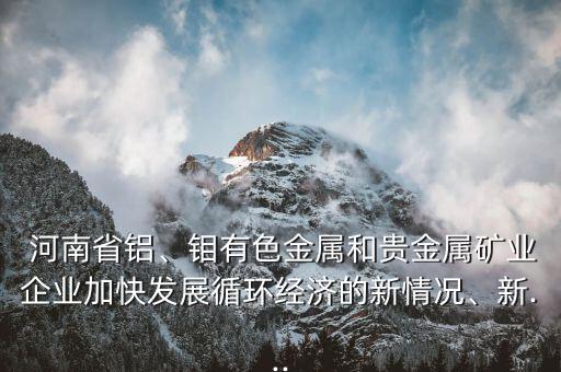  河南省鋁、鉬有色金屬和貴金屬礦業(yè)企業(yè)加快發(fā)展循環(huán)經(jīng)濟(jì)的新情況、新...