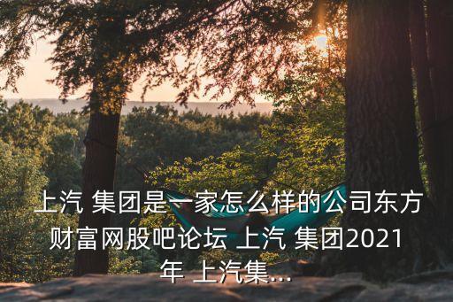  上汽 集團是一家怎么樣的公司東方財富網(wǎng)股吧論壇 上汽 集團2021年 上汽集...