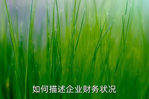 如何描述企業(yè)財(cái)務(wù)狀況