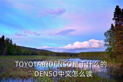 TOYOTA的DENSO是干什么的``DENSO中文怎么讀