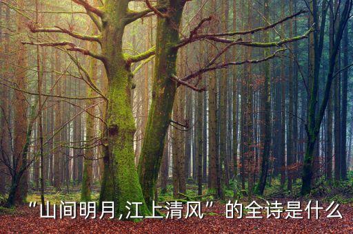 “山間明月,江上清風(fēng)”的全詩是什么