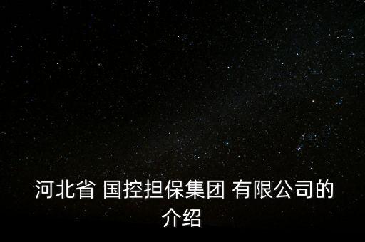  河北省 國控?fù)?dān)保集團(tuán) 有限公司的介紹