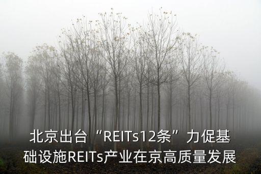 北京出臺“REITs12條”力促基礎(chǔ)設(shè)施REITs產(chǎn)業(yè)在京高質(zhì)量發(fā)展