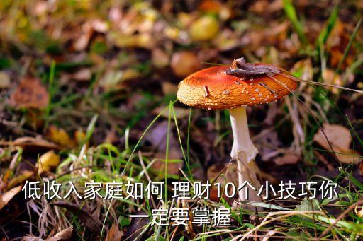 低收入家庭如何 理財(cái)10個(gè)小技巧你一定要掌握