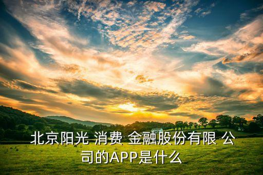  北京陽(yáng)光 消費(fèi) 金融股份有限 公司的APP是什么