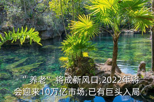 “ 養(yǎng)老”將成新風(fēng)口,2022年將會(huì)迎來10萬億市場,已有巨頭入局