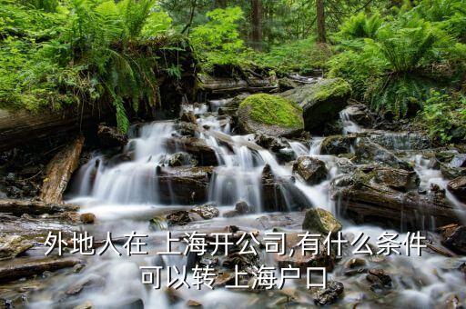  外地人在 上海開(kāi)公司,有什么條件可以轉(zhuǎn) 上海戶(hù)口