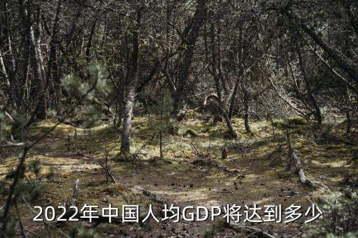 2022年中國人均GDP將達(dá)到多少