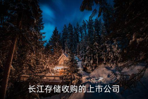 長(zhǎng)江存儲(chǔ)收購(gòu)的上市公司