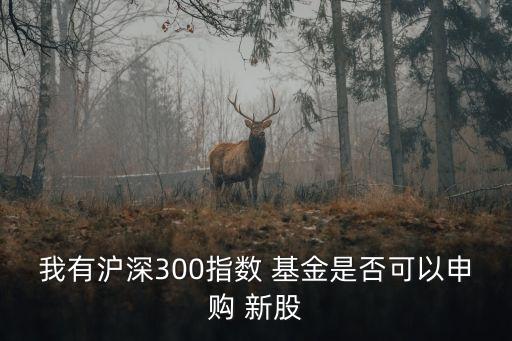 我有滬深300指數(shù) 基金是否可以申購 新股