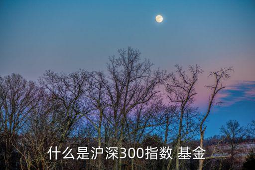 什么是滬深300指數(shù) 基金