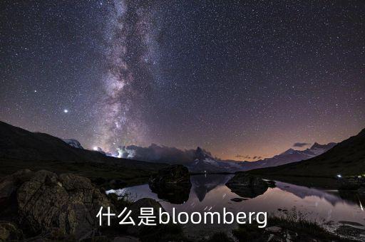 什么是bloomberg