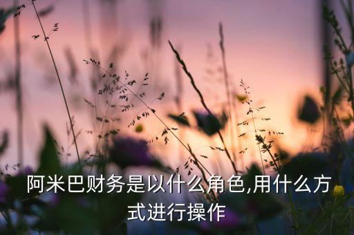  阿米巴財務是以什么角色,用什么方式進行操作