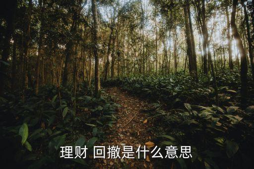 理財(cái) 回撤是什么意思