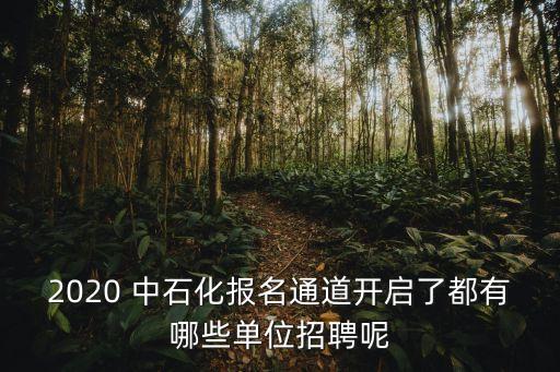 2020 中石化報(bào)名通道開(kāi)啟了都有哪些單位招聘呢