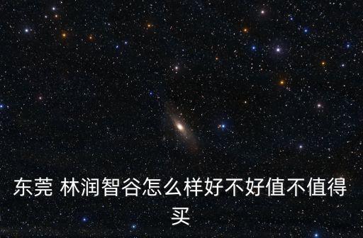 東莞 林潤(rùn)智谷怎么樣好不好值不值得買