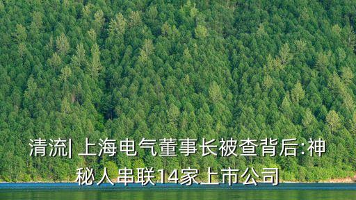 清流| 上海電氣董事長被查背后:神秘人串聯(lián)14家上市公司