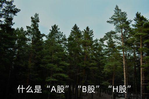 什么是“A股”“B股”“H股”