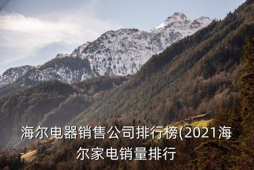 海爾電器銷售公司排行榜(2021海爾家電銷量排行