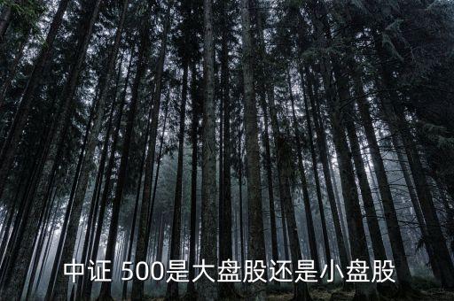  中證 500是大盤股還是小盤股