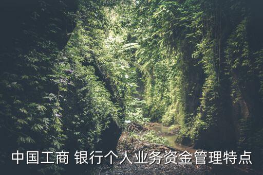 中國工商 銀行個(gè)人業(yè)務(wù)資金管理特點(diǎn)