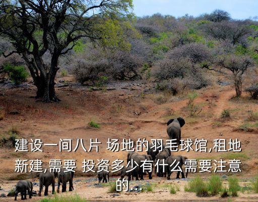 建設一間八片 場地的羽毛球館,租地新建,需要 投資多少有什么需要注意的...