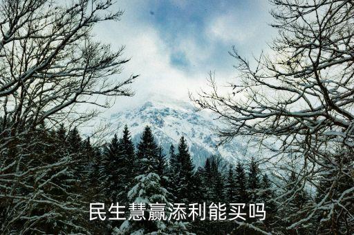 民生慧贏添利能買(mǎi)嗎