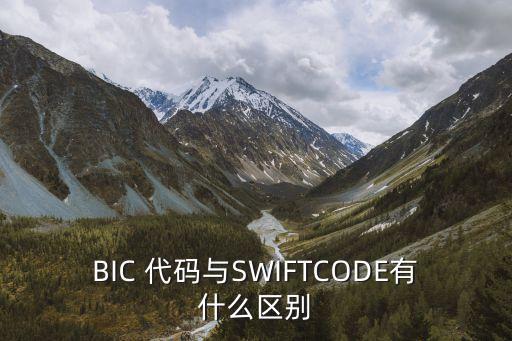 BIC 代碼與SWIFTCODE有什么區(qū)別