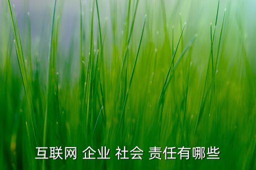 互聯(lián)網(wǎng) 企業(yè) 社會(huì) 責(zé)任有哪些