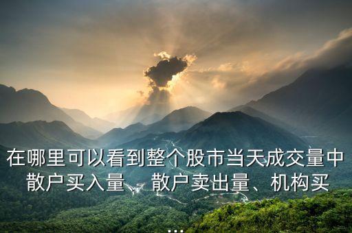 在哪里可以看到整個股市當(dāng)天成交量中 散戶買入量、 散戶賣出量、機構(gòu)買...