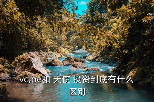 vc,pe和 天使 投資到底有什么區(qū)別