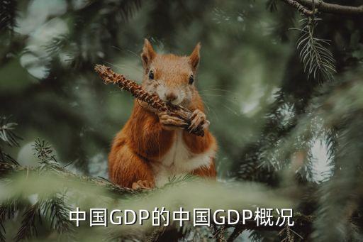 近年中國(guó)gdp分析,2020年中國(guó)GDP分析