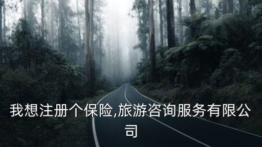 我想注冊(cè)個(gè)保險(xiǎn),旅游咨詢服務(wù)有限公司