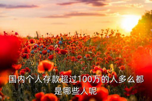 國(guó)內(nèi)個(gè)人存款超過(guò)100萬(wàn)的人多么都是哪些人呢