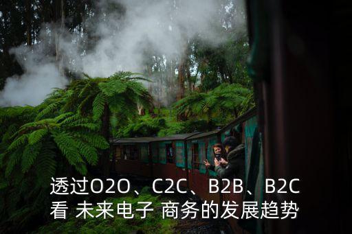 透過O2O、C2C、B2B、B2C看 未來電子 商務(wù)的發(fā)展趨勢