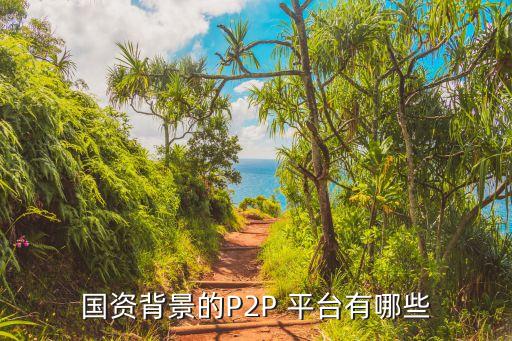 國資背景的P2P 平臺(tái)有哪些