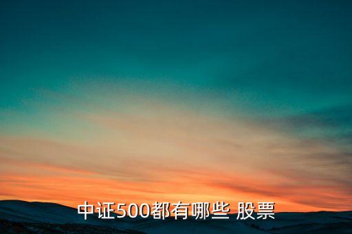 中證500都有哪些 股票