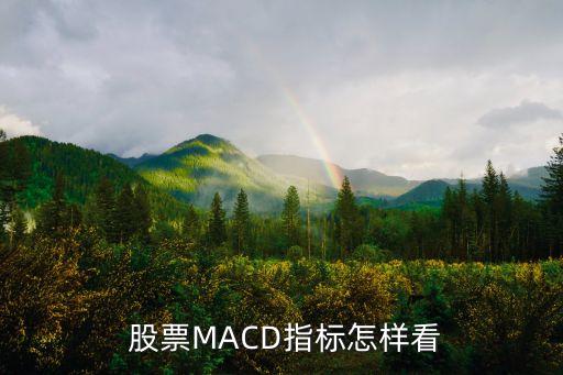  股票MACD指標(biāo)怎樣看