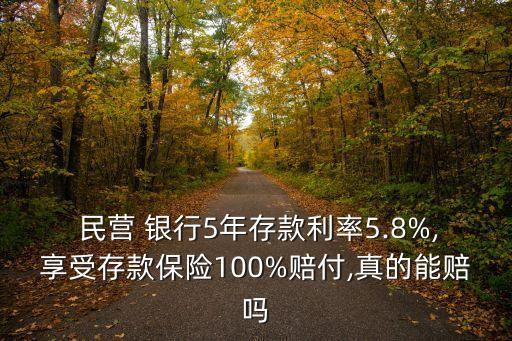  民營 銀行5年存款利率5.8%,享受存款保險100%賠付,真的能賠嗎